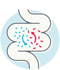 fodmaps-2